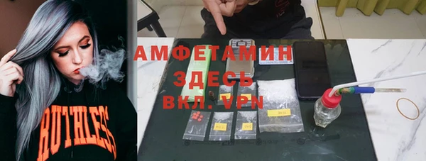прущие грибы Армянск