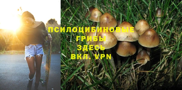 шишки Аркадак