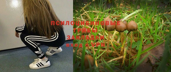 марки nbome Арсеньев