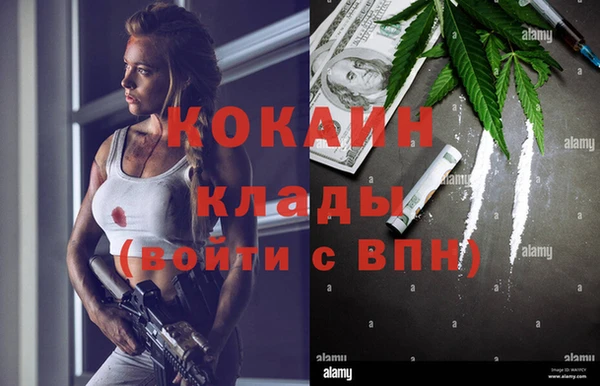прущие грибы Армянск