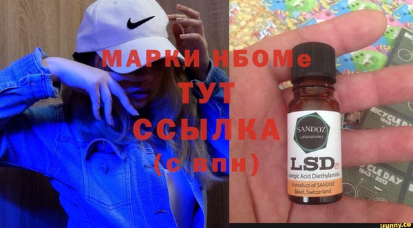 шишки Аркадак