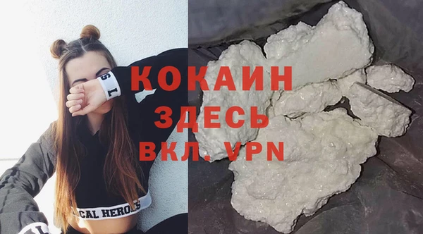 прущие грибы Армянск