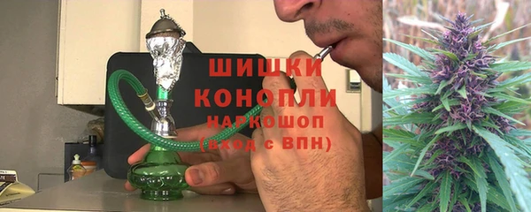 гидра Алексин