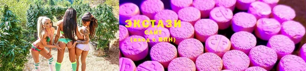 шишки Аркадак