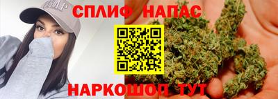 Альфа ПВП Канаш