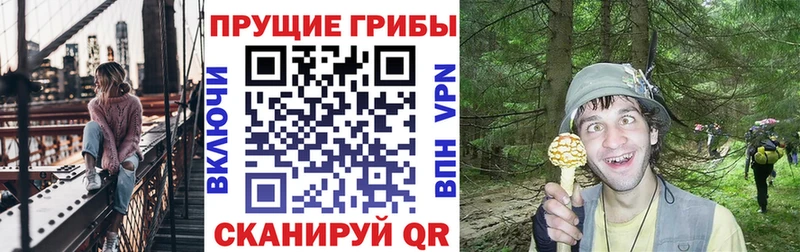 hydra зеркало  Междуреченск  Галлюциногенные грибы MAGIC MUSHROOMS 