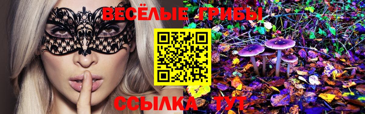 Псилоцибиновые грибы мухоморы  Вход с VPN  Междуреченск 