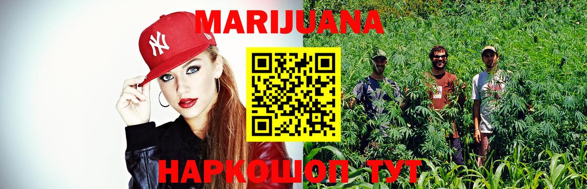 Конопля Bruce Banner  Вход с VPN  МАРИХУАНА SATIVA & INDICA  МАРИХУАНА сатива  Междуреченск 